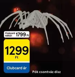 Pók csontváz dísz