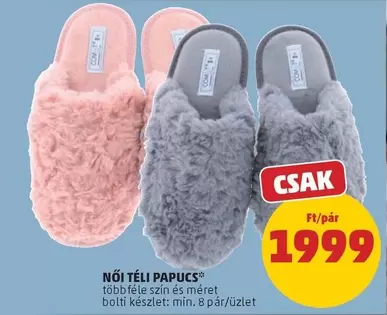 NÕI TÉLI PAPUCS