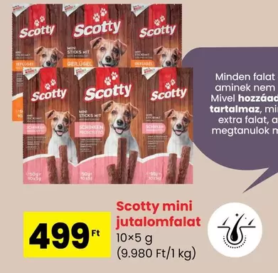 Mini Jutalomfalat