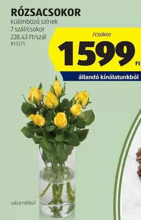 RÓZSACSOKOR