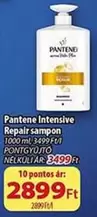 Intensive Repair sampon