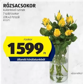 RÓZSACSOKOR