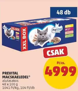 Xxl - MACSKAELEDEL