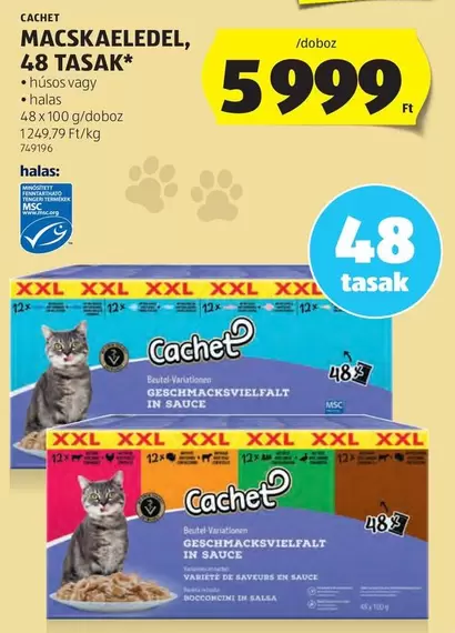 Xxl - MACSKAELEDEL, 48 TASAK