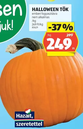 HALLOWEEN TÖK