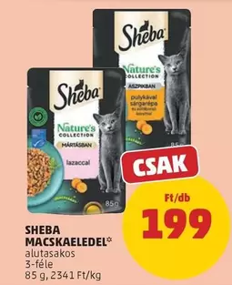 MACSKAELEDEL