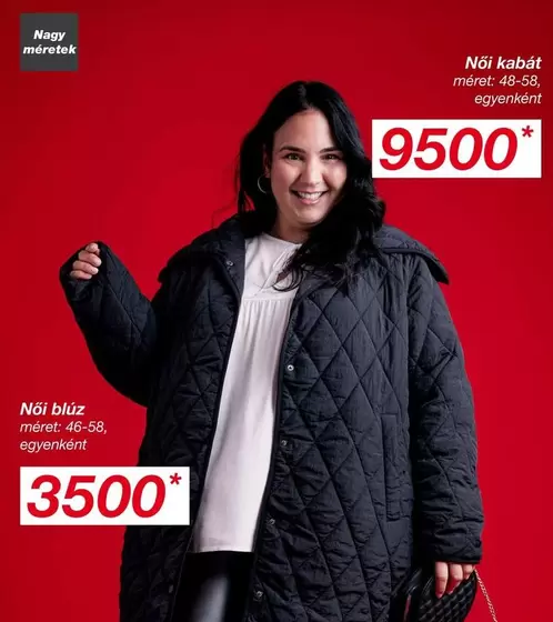 Női kabát, Női bluz