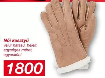 Női kesztyű