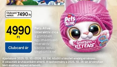 Cica - Interaktiv cica a gömbben