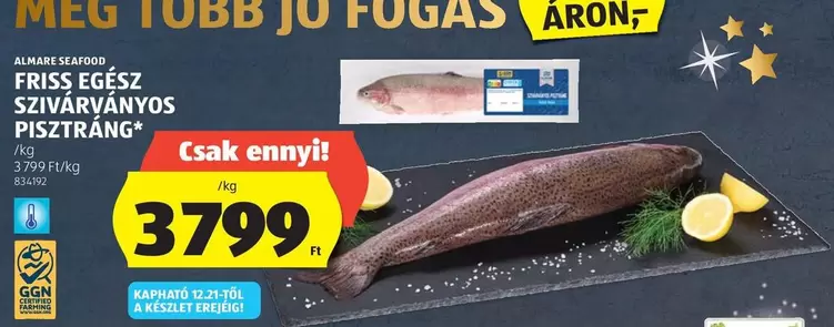 FRISS EGESZ SZIVÁRVÁNYOS PISZTRANG