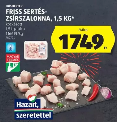 FRISS SERTÉS-ZSÍRSZALONNA