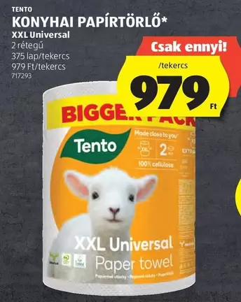 Xxl - KONYHAI PAPÍRTÖRLŐ