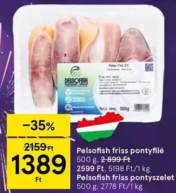 friss pontyfilé