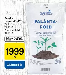 palántaföld