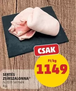 SERTÉS ZSÍRSZALONNA