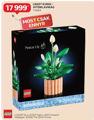 Lego - ICONS-VITORLAVIRÁG 11504