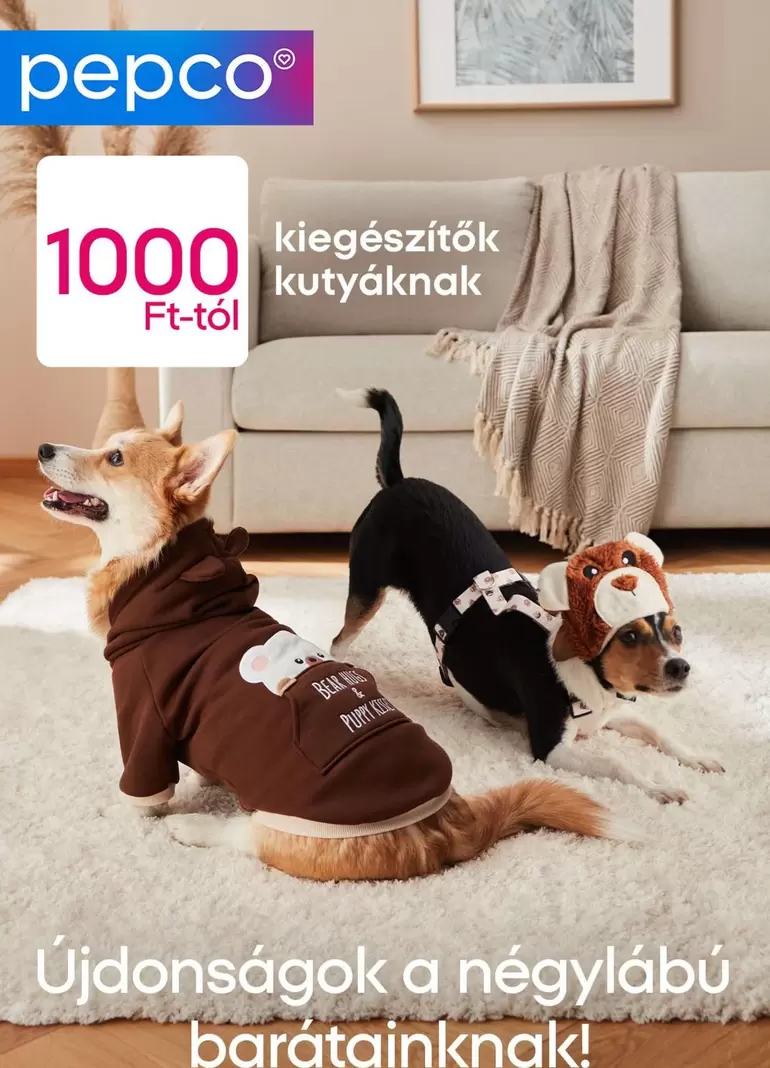 kiegészítők kutyáknak