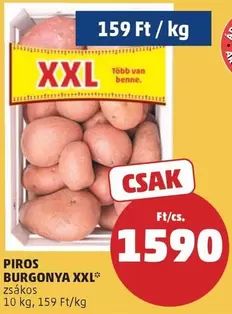 Xxl - PIROS BURGONYA XXL