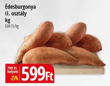 Édesburgonya II. osztály