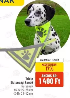 Biztonsági kendő kutyának