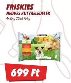 NEDVES KUTYAELEDELEK