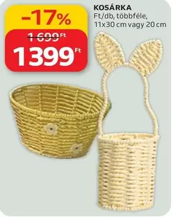 KOSÁRKA