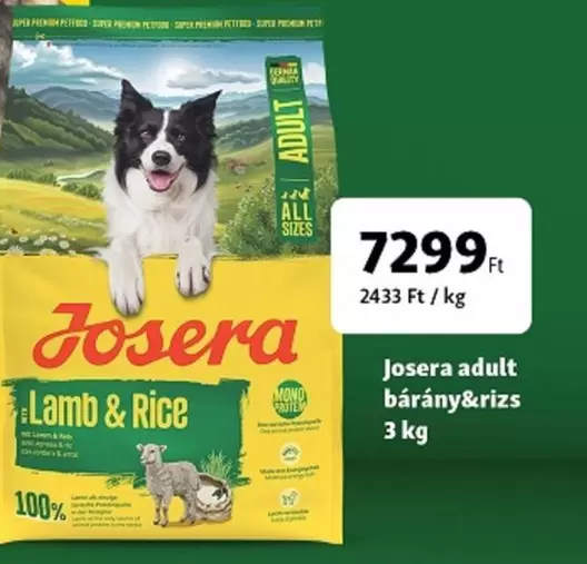 adult bárány&rizs