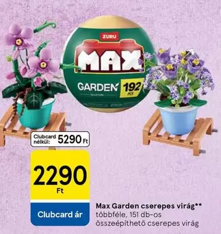 Garden cserepes virág