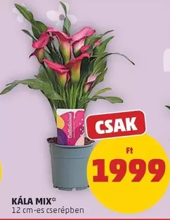 KÁLA MIX*