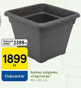 Sydney szögletes virágcserép