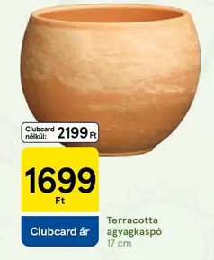 Terracotta agyagkaspó