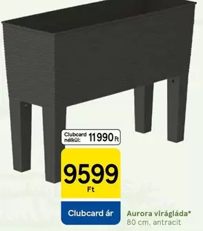 Aurora - virágláda