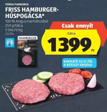 FRISS HAMBURGER-HÚSPOGÁCSA