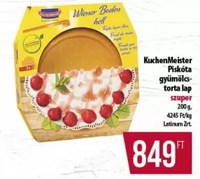 Wiener Boden Piskóta torta lap