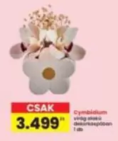 Cymbidium virág alakú dekoráció