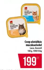 macskaeledel Lazac