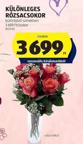 KÜLÖNLEGES RÓZSASOKOR