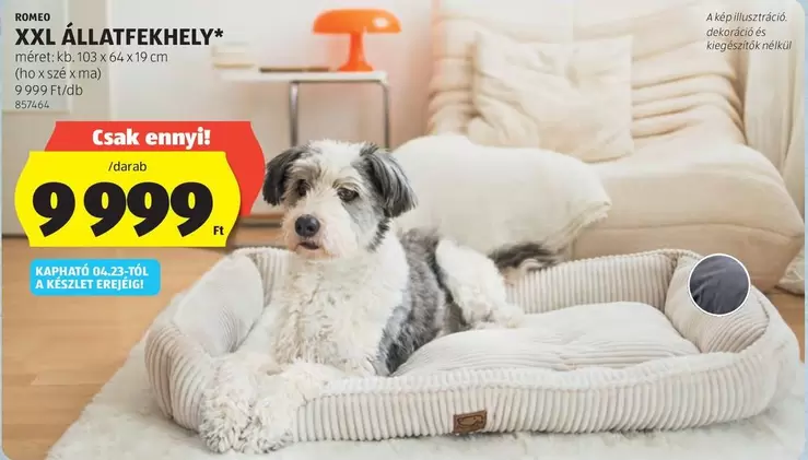 Xxl - XXL ÁLLATFEKHELY