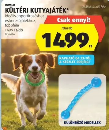 KÜLTÉRI KUTYAJÁTÉK*
