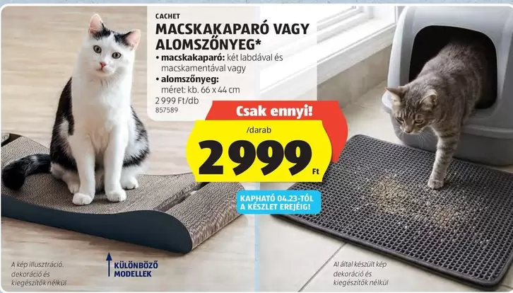 MACSKA KAPARÓ VAGY ALOMSZŐNYEG