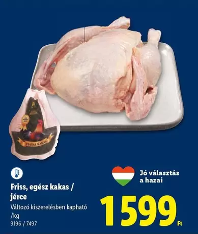 Friss, egész kakas / jérce