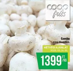 Gomba