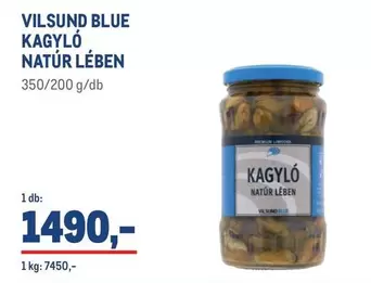 KAGYLÓ NATÚR LÉBEN