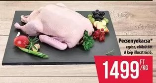 Pecsenyekacsa