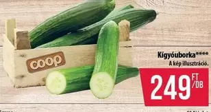Kígyóuborka