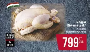 Kistestű tyuk