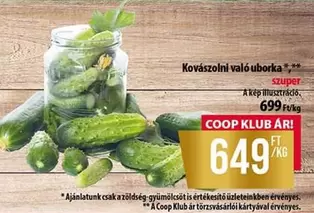 Kovászolni való uborka