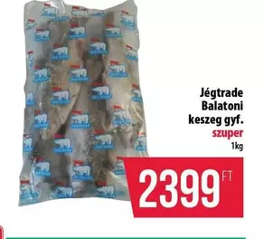 Balatoni keszeg gyf.
