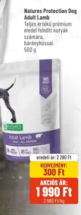 Dog Adult Lamb