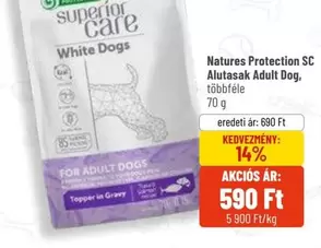 Superior Care White Dogs